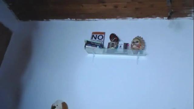 Image 12 of carolina_miller Stream on Chaturbate on 12 days ago