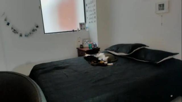Image 10 of carolina_zaens Stream on Chaturbate on 26 days ago