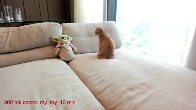 Thumbnail 1, carolinaherera's Stream at Chaturbate, 14 days ago