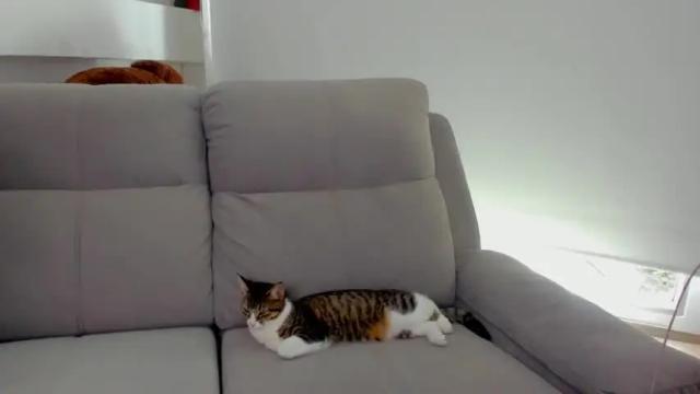 Image 6 of caroline_diazz Stream on Chaturbate on 14 months ago