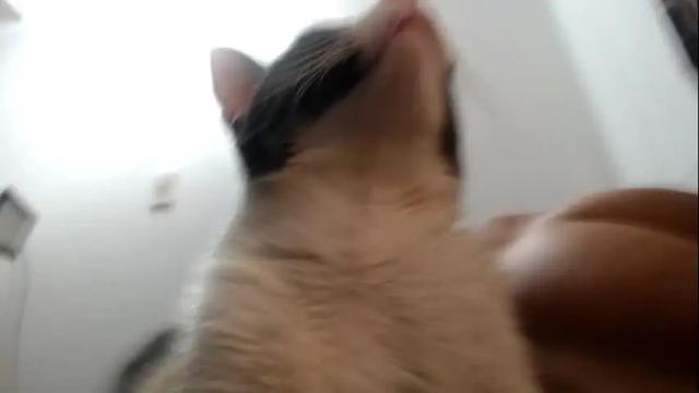 Image 6 of caroljeager Stream on Chaturbate on 2 days ago