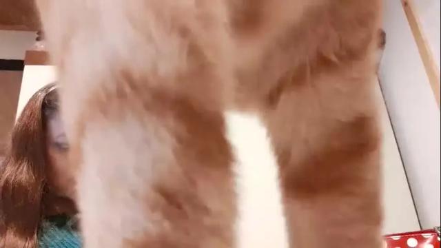 Image 6 of cary_mary Stream on Chaturbate on 4 months ago