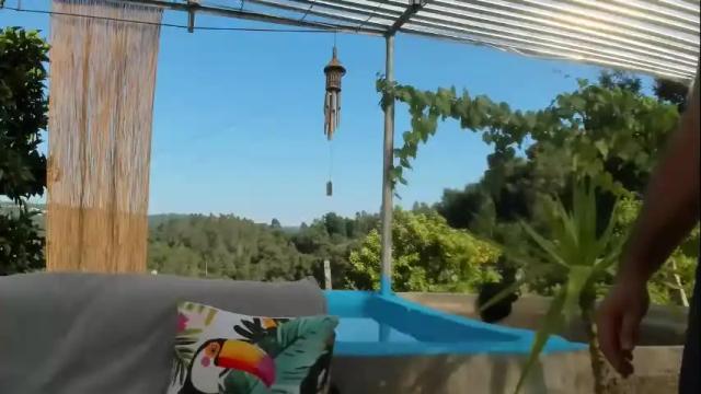 Thumbnail 1, casalvinte5's Stream at Chaturbate, 6 months ago