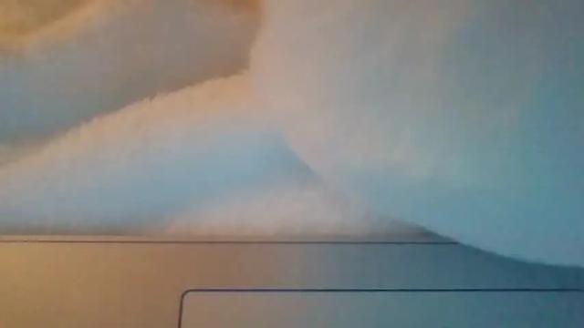 Image 11 of casscassidy89 Stream on Chaturbate on 21 months ago