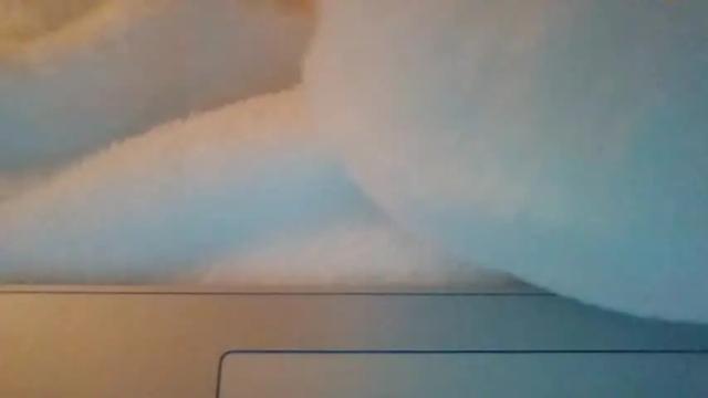 Thumbnail 2, casscassidy89's Stream at Chaturbate, 21 months ago