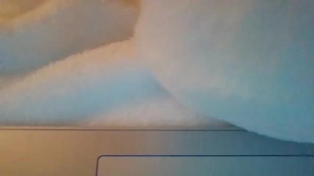 Image 8 of casscassidy89 Stream on Chaturbate on 21 months ago