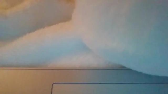 Thumbnail 3, casscassidy89's Stream at Chaturbate, 21 months ago