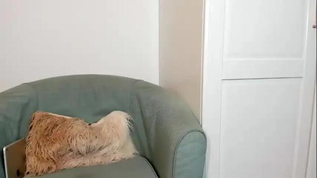 Image 7 of cassieandmarco Stream on Chaturbate on 4 months ago