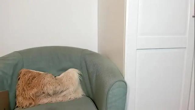 Image 8 of cassieandmarco Stream on Chaturbate on 4 months ago