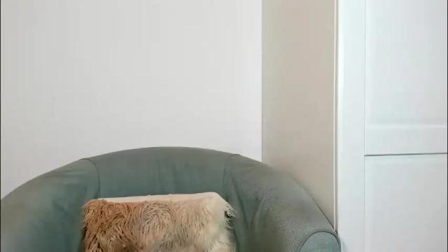 Image 10 of cassieandmarco Stream on Chaturbate on 2 months ago