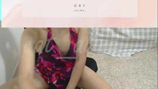 Image 7 of cat_alina_ Stream on Chaturbate on 3 months ago