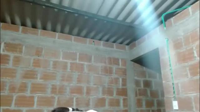Image 8 of cata_018 Stream on Chaturbate on 6 days ago