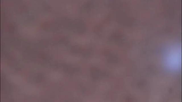 Image 4 of cata_n_cami Stream on Chaturbate on 2 days ago