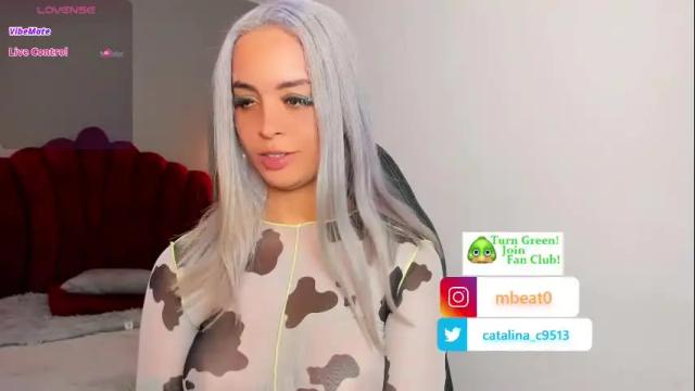 Image 3 of catalina_clark Stream on Chaturbate on 13 days ago
