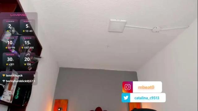 Image 6 of catalina_clark Stream on Chaturbate on 24 days ago