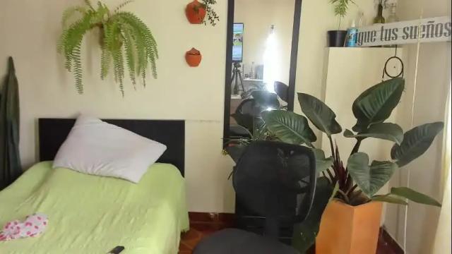 Image 6 of catalinalince Stream on Chaturbate on 2 months ago