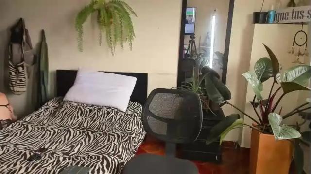 Image 12 of catalinalince Stream on Chaturbate on 1 month ago