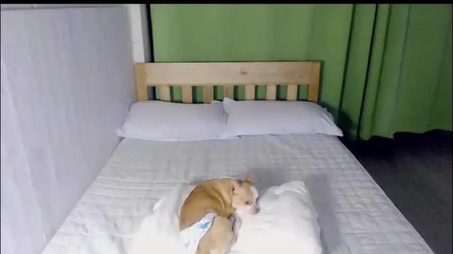 Thumbnail 2, cathalea_toni's Stream at Chaturbate, 2 months ago