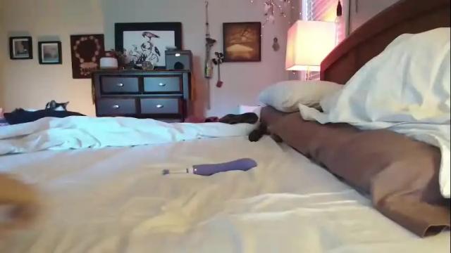 Thumbnail 1, catnips_cabaret's Stream at Chaturbate, 1 month ago