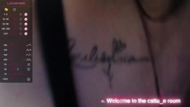 Thumbnail 2, catta_a's Stream at Chaturbate, 17 months ago