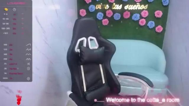 Image 4 of catta_a Stream on Chaturbate on 19 months ago