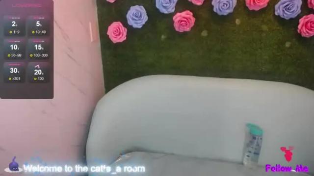 Image 2 of catta_a Stream on Chaturbate on 19 months ago