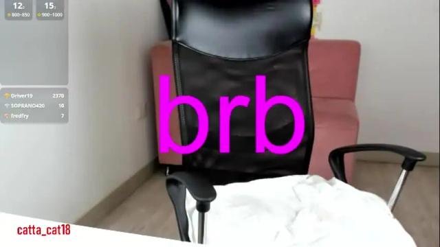 Image 12 of catta_cat18 Stream on Chaturbate on 1 month ago