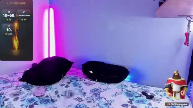 Image 11 of cattnamy Stream on Chaturbate on 14 months ago