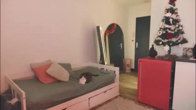 Thumbnail 1, ce_leste_'s Stream at Chaturbate, 18 days ago