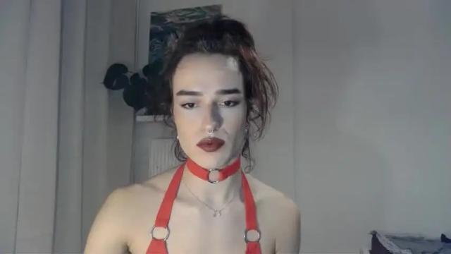 Image 3 of cececunt Stream on Chaturbate on 15 months ago