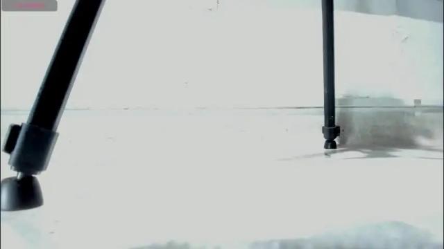 Image 4 of celesstte_0 Stream on Chaturbate on 1 month ago