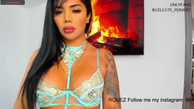 Image 3 of celeste_pervert Stream on Chaturbate on 17 months ago