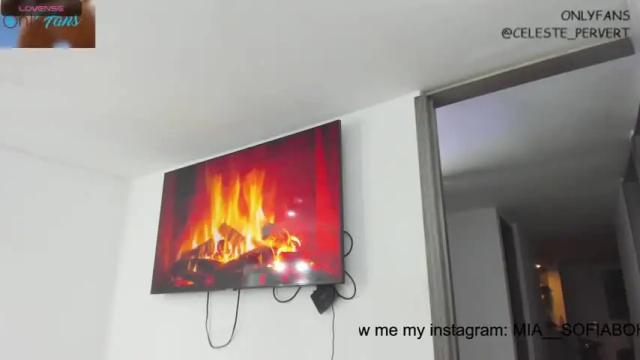 Image 8 of celeste_pervert Stream on Chaturbate on 15 months ago