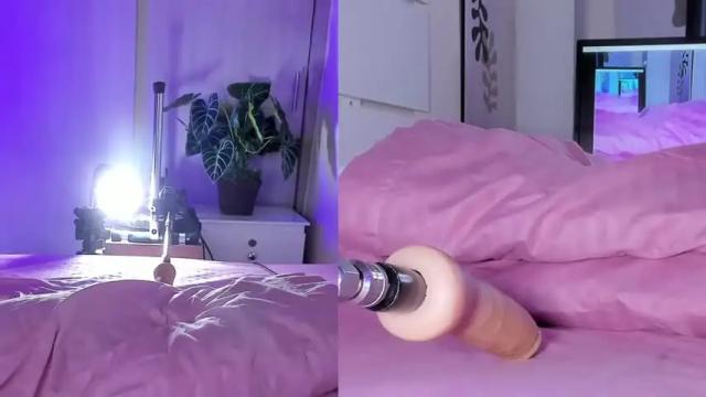 Image 2 of celesterabbit Stream on Chaturbate on 14 months ago