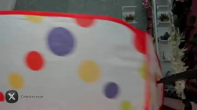 Image 11 of celesterose69 Stream on Chaturbate on 12 months ago