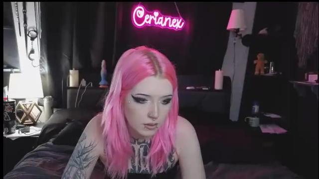 Image 12 of cerianex Stream on Chaturbate on 2 months ago