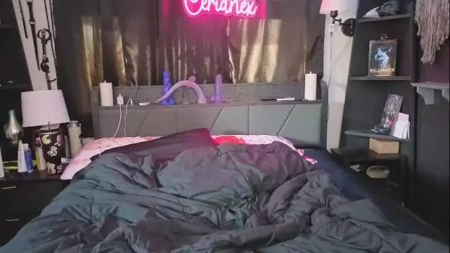 Image 7 of cerianex Stream on Chaturbate on 1 month ago