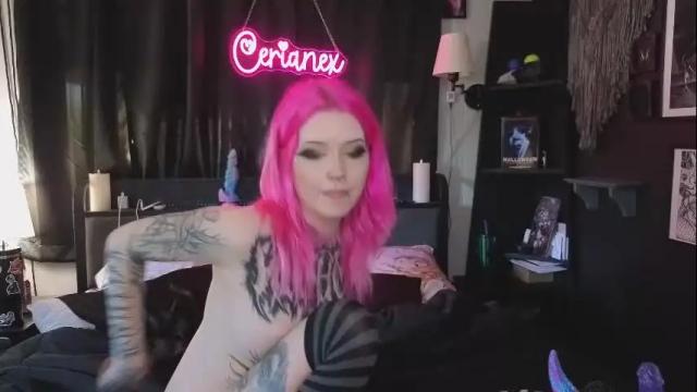 Image 10 of cerianex Stream on Chaturbate on 1 month ago