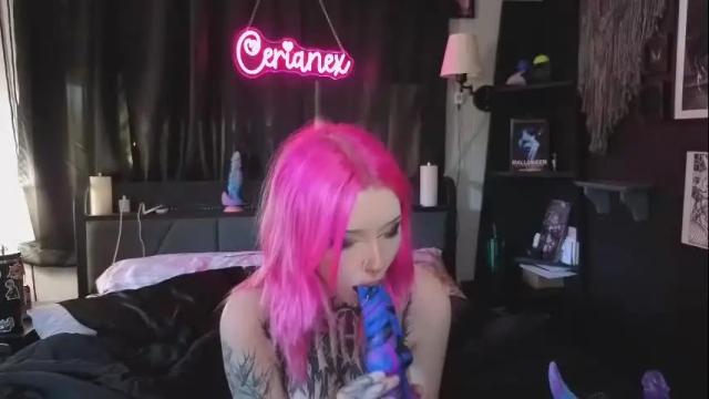 Thumbnail 3, cerianex's Stream at Chaturbate, 1 month ago