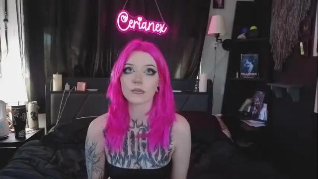 Image 3 of cerianex Stream on Chaturbate on 1 month ago