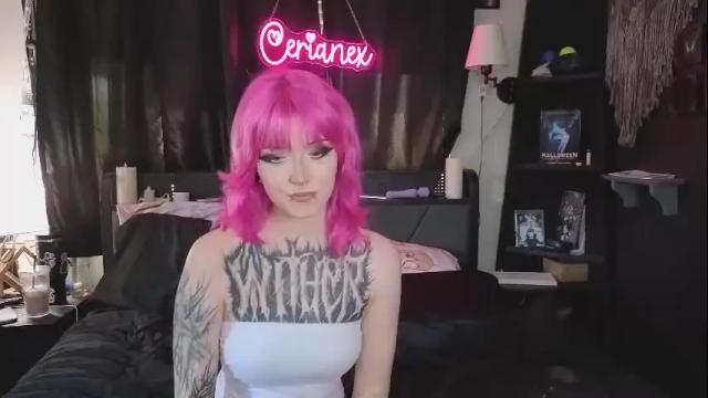 Image 3 of cerianex Stream on Chaturbate on 19 days ago