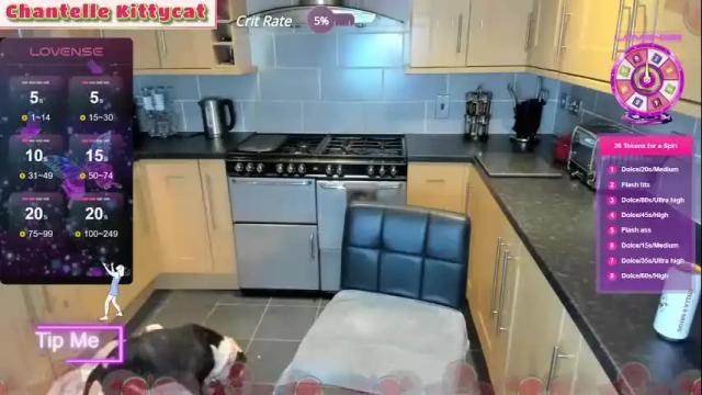 Image 2 of chantelle_kittycat Stream on Chaturbate on 12 months ago