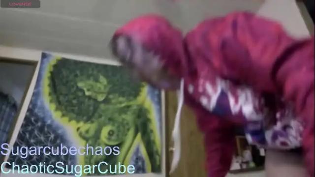 Image 4 of chaoticsugarcube Stream on Chaturbate on 2 months ago