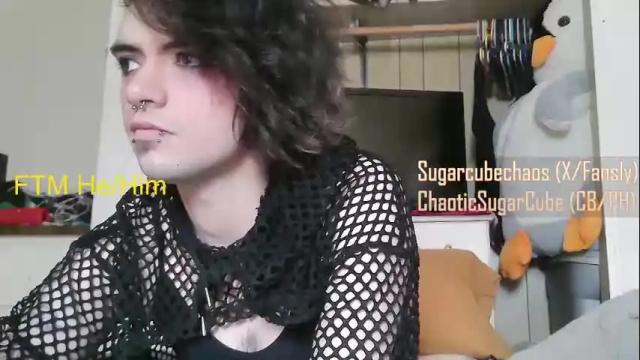 Image 2 of chaoticsugarcube Stream on Chaturbate on 2 months ago