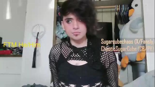 Image 4 of chaoticsugarcube Stream on Chaturbate on 2 months ago