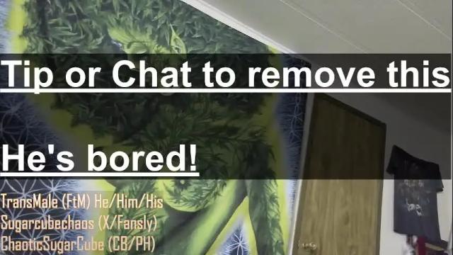 Image 11 of chaoticsugarcube Stream on Chaturbate on 2 months ago