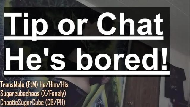 Image 4 of chaoticsugarcube Stream on Chaturbate on 2 months ago