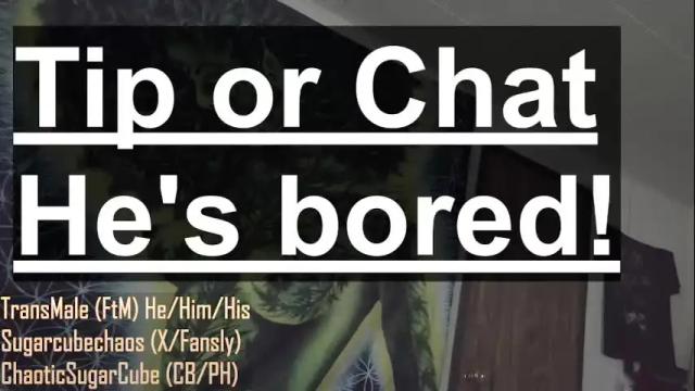 Image 6 of chaoticsugarcube Stream on Chaturbate on 2 months ago