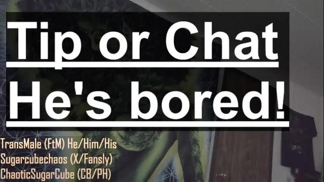 Image 7 of chaoticsugarcube Stream on Chaturbate on 2 months ago