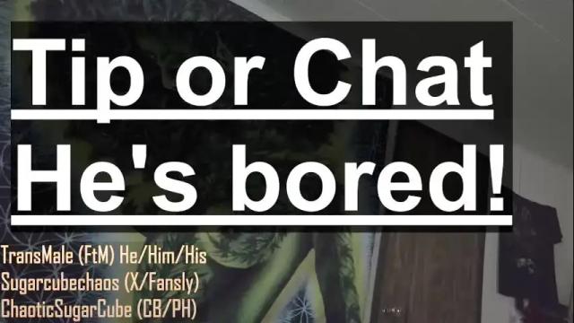 Image 8 of chaoticsugarcube Stream on Chaturbate on 2 months ago